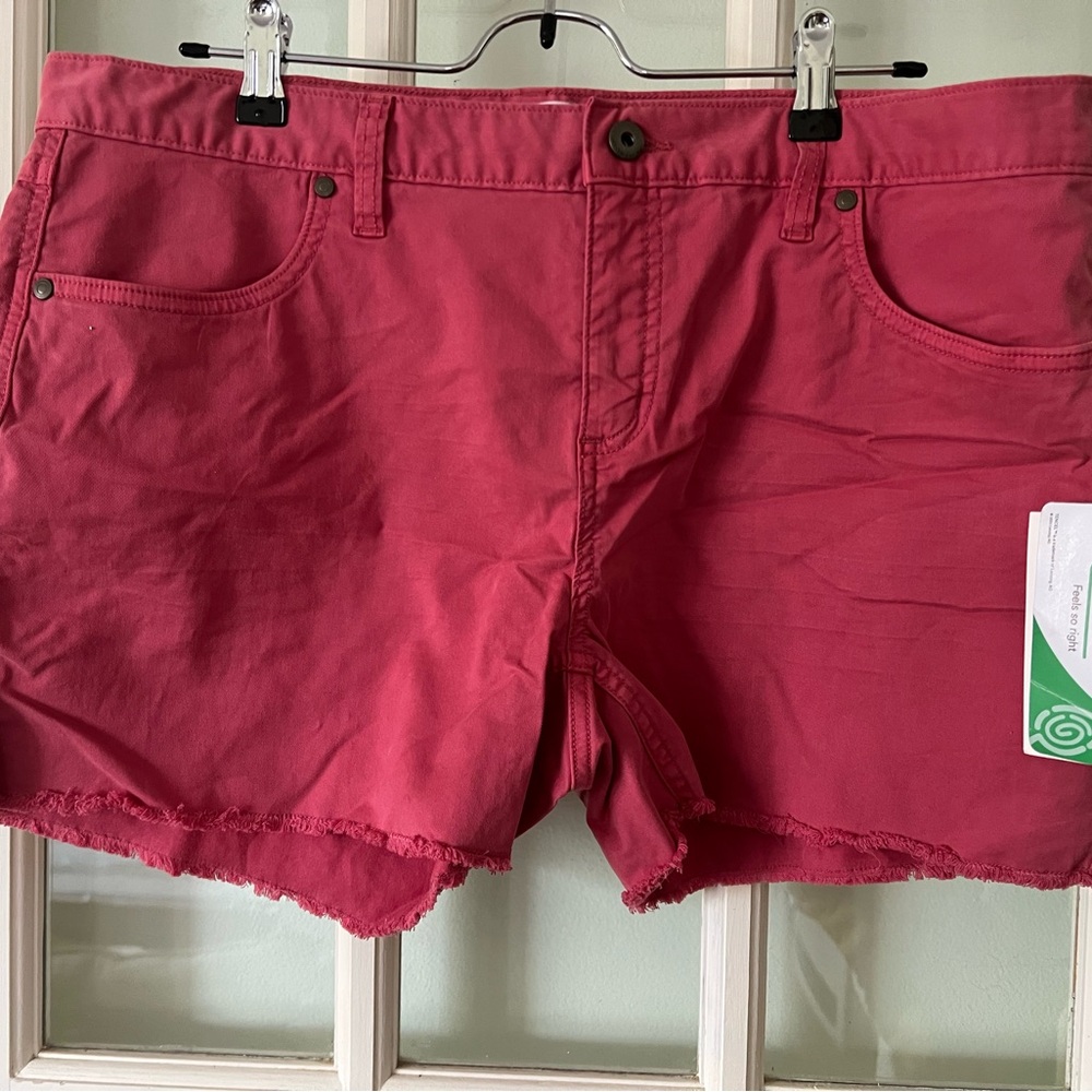 Carve Designs Women's Shorts size 12